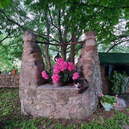 Agriturismo Case In Collina Volta Mantovana Kültér fotó